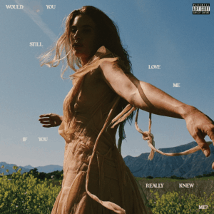 Fletcher dreht sich im goldenen Kleid unter freiem Himmel – Cover des Albums „Would You Still Love Me If You Really Knew Me?“.