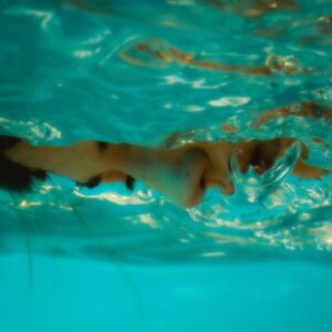 Unterwasseraufnahme von GRETA, halb im Licht gebrochen, halb im Schatten, als Symbol für die Dualität von „Sonne und Schmerz“.
