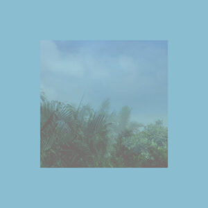 Nebliges Albumcover mit Palmen und Himmel, verwaschen in blauen und grünen Tönen, gestaltet von Madeleine Cocolas für Ithaca.