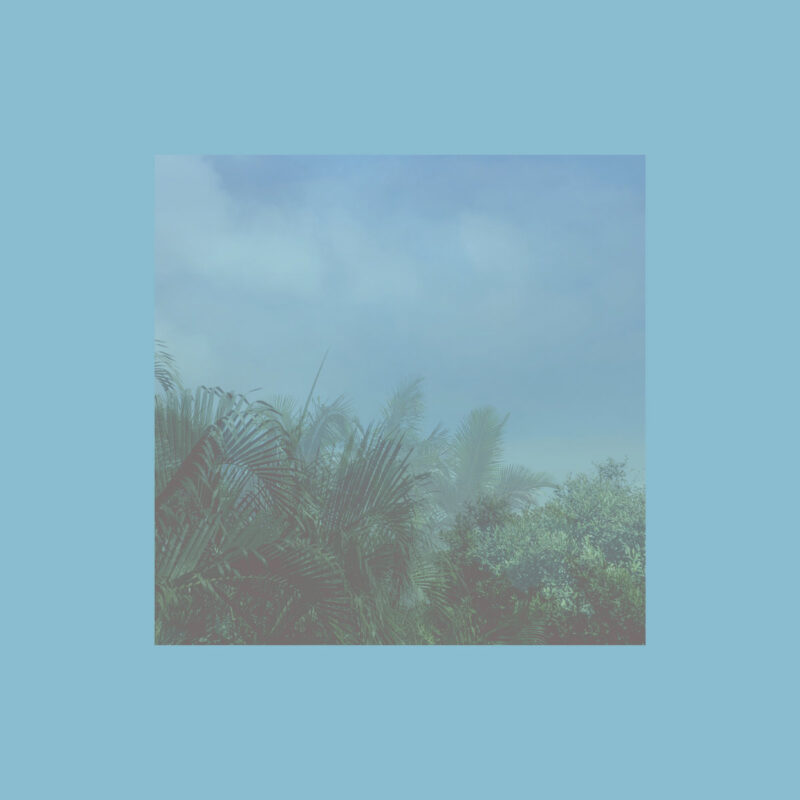 Nebliges Albumcover mit Palmen und Himmel, verwaschen in blauen und grünen Tönen, gestaltet von Madeleine Cocolas für Ithaca.
