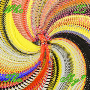 Psychedelisches Albumcover zu „Who Is the Sky?“ von David Byrne: spiralförmiger Wirbel aus Gelb, Pink und Schwarz, Byrne in farbigem Kostüm mit Federkrone im Zentrum.