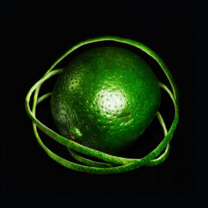Ein sattgrüner Limettenball liegt vor schwarzem Hintergrund, umschlungen von schmalen Spiralen der eigenen Schale, glänzend, körnige Oberfläche, grafisch reduziert.