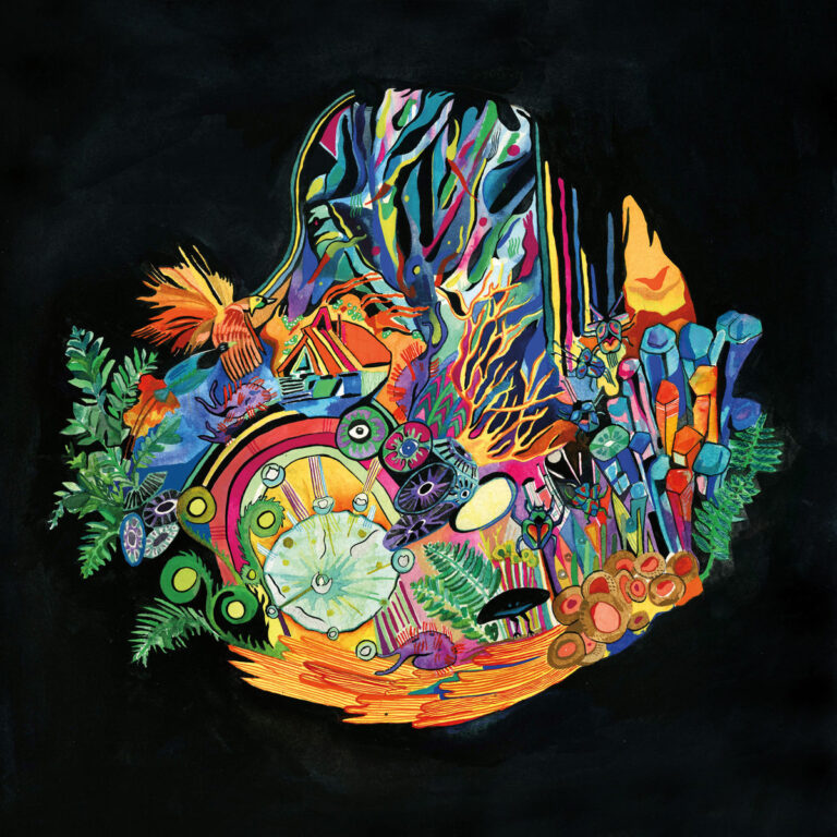 Buntes, abstraktes Albumcover von Kaitlyn Aurelia Smiths EARS mit Pflanzen, Kristallen, Formen und leuchtenden Farben vor schwarzem Hintergrund.