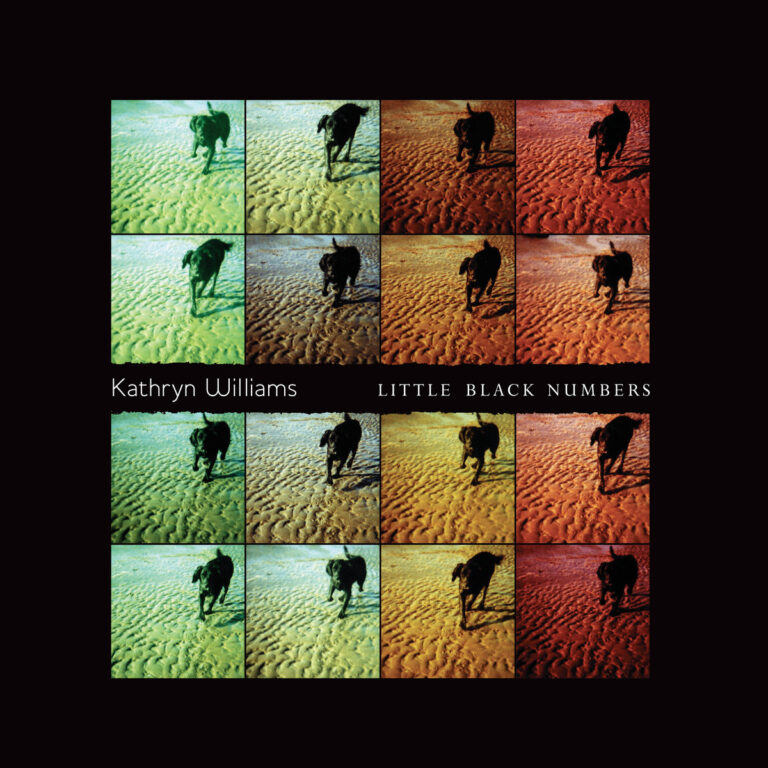 Mehrfarbiges Albumcover mit zwölf analogen Fotos einer Person, die über eine sandige Küste läuft, von grün bis rot getönt, umgeben von schwarzem Rahmen und weißen Schriftzügen „Kathryn Williams“ und „Little Black Numbers“.
