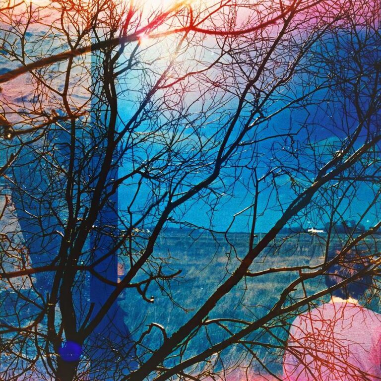 Zarte Äste zeichnen sich vor einem Himmel aus Blau und Rosa ab, überlagert von Lichtreflexen und transparenten Farbflächen. Das Bild wirkt wie ein stiller Moment zwischen Tag und Traum, fragil und vielschichtig zugleich.