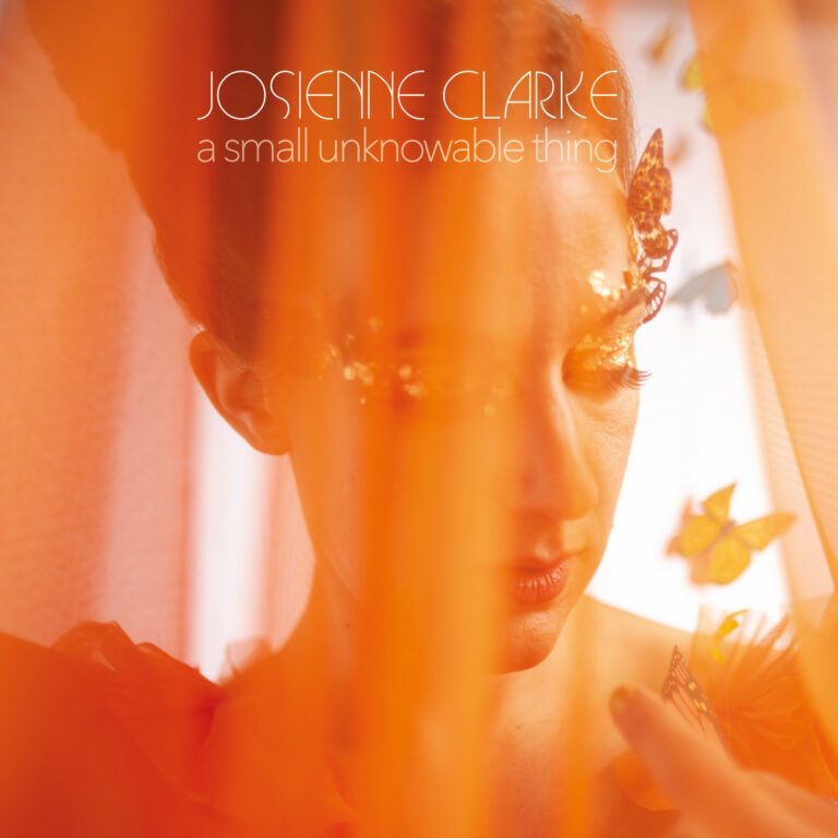 Porträt von Josienne Clarke hinter einem transparenten orangefarbenen Stoff, umgeben von Schmetterlingen, mit introspektivem Blick und schimmernden Lichtreflexen.