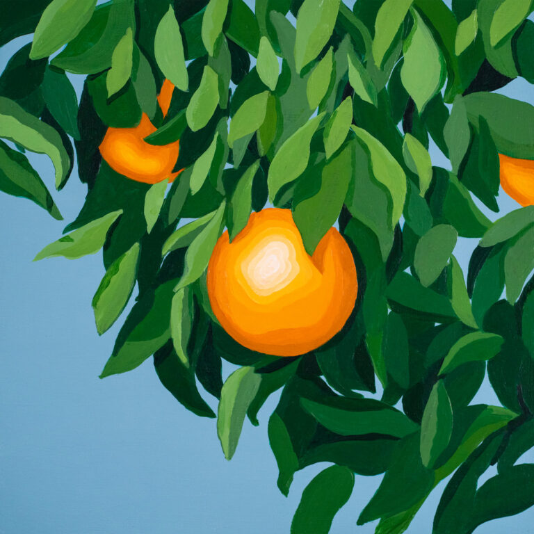 Illustratives Albumcover mit leuchtenden Orangen in dichtem grünem Blattwerk vor hellem Hintergrund, malerisch stilisiert.