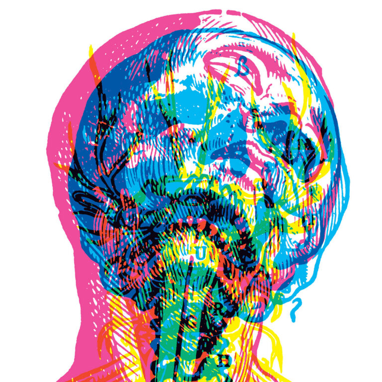 Mehrfarbig überlagerte anatomische Illustration eines menschlichen Kopfes mit sichtbaren Schädelstrukturen, stark verfremdet durch RGB-Effekte.