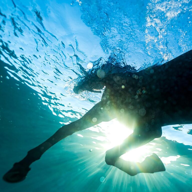 Ein Pferd bewegt sich unter Wasser, von unten fotografiert, mit Lichtreflexen durch die Wasseroberfläche.