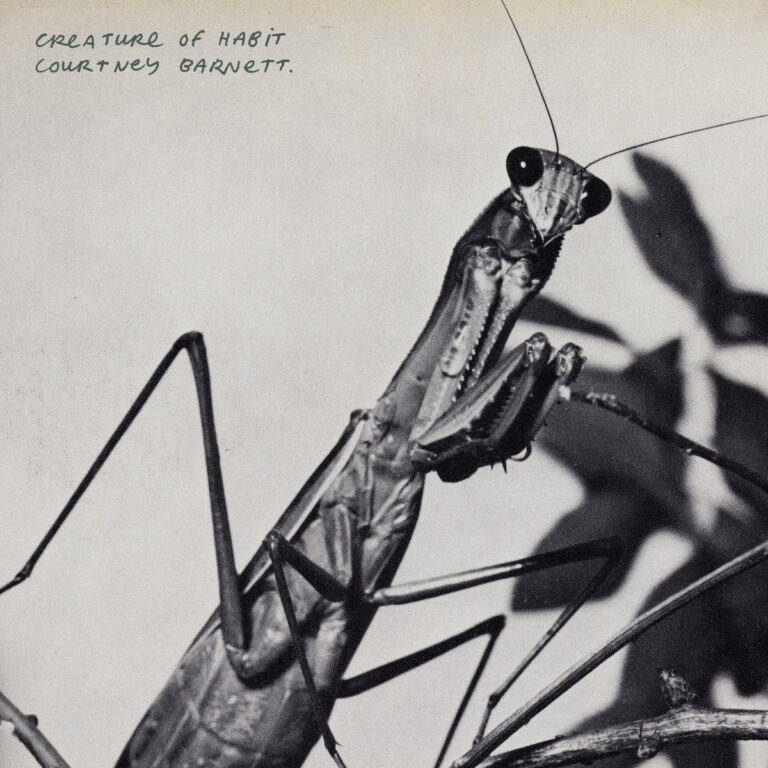 Das quadratische Albumcover zeigt eine Schwarz-Weiß-Fotografie einer Gottesanbeterin in extremer Nahaufnahme. Das Insekt blickt mit seinen großen, dunklen Facettenaugen direkt in die Kamera, während seine markanten Fangbeine angewinkelt sind. Im oberen linken Bereich steht in handgeschriebenen, minimalistischen Großbuchstaben der Titel „CREATURE OF HABIT“ und darunter der Name „COURTNEY BARNETT.“. Der Hintergrund ist hell und leicht unscharf, mit schemenhaften dunklen Blättern auf der rechten Seite.
