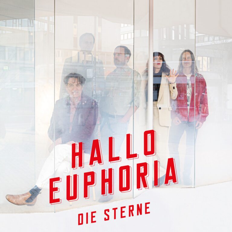 Das quadratische Albumcover zeigt die fünf Mitglieder der Band Die Sterne hinter einer großen, gewinkelten Glasscheibe. Die Musiker sind in unterschiedlichen Posen zu sehen: Einer sitzt links im Vordergrund, die anderen stehen leicht versetzt dahinter. Auf der Glasfläche prangt in großen, rot umrandeten Versalien der Albumtitel „HALLO EUPHORIA“, darunter in kleineren roten Buchstaben der Bandname „DIE STERNE“. Die Umgebung spiegelt sich hell und leicht diffus in der Scheibe wider.