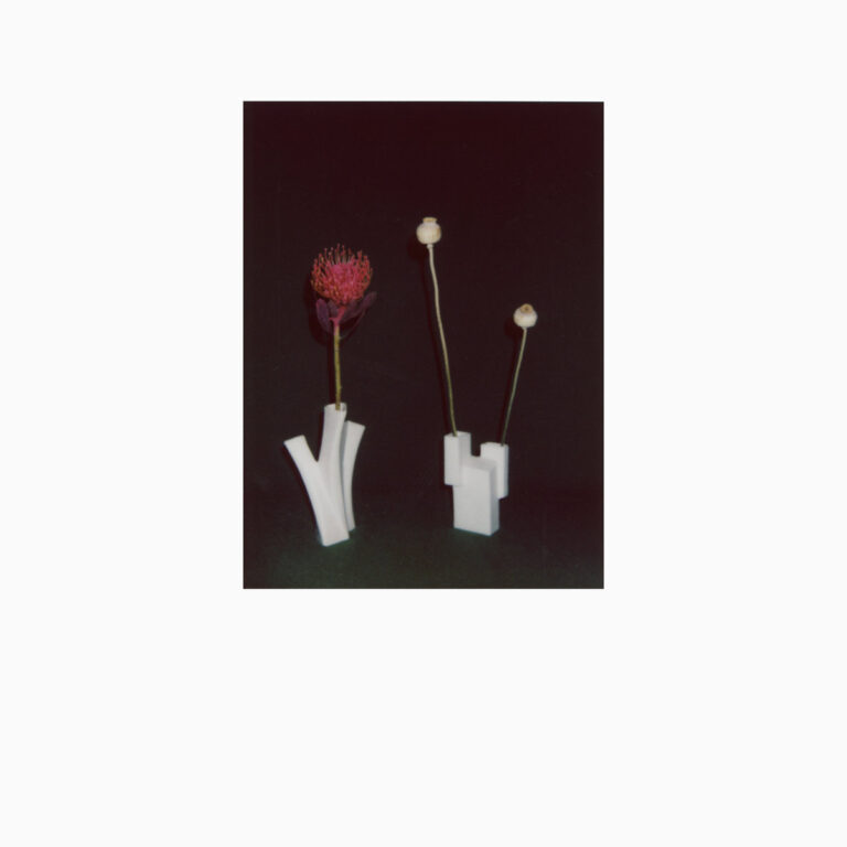 Ein quadratisches Bild zeigt zwei minimalistische weiße Vasen mit abstrakt-geometrischer Form auf dunklem Untergrund, in denen eine rötliche Blüte und zwei Samenkapseln auf langen Stielen arrangiert sind.