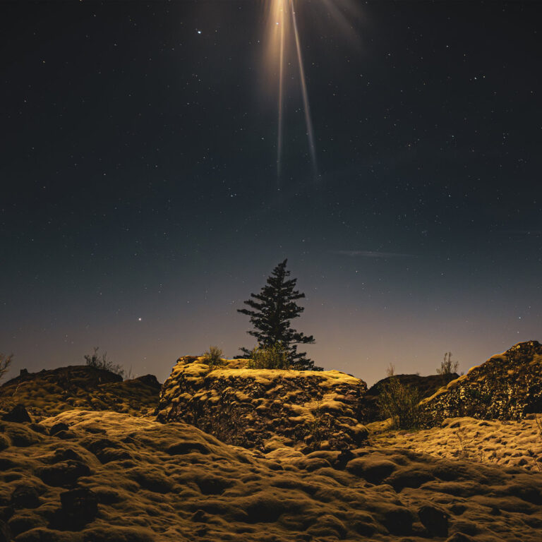 Einsamer Baum unter Sternenhimmel mit dramatischem Lichtstrahl.