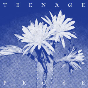 Teenage Prose