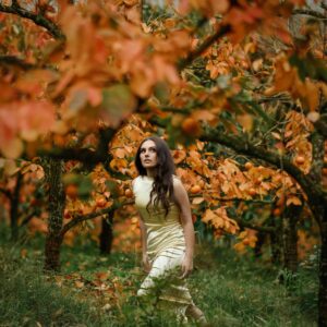 Seasons