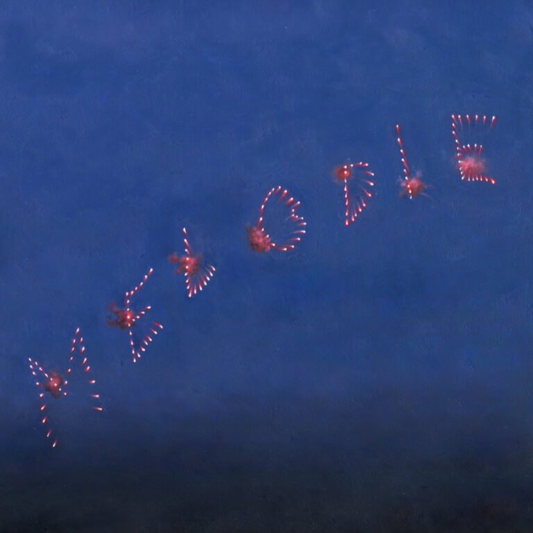 Rotes Feuerwerk formt den Schriftzug Melodie am dunkelblauen Nachtzeit-Himmel.